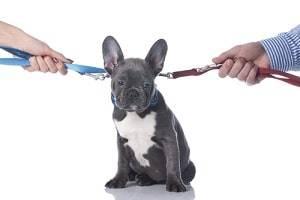 St. Charles divorce attorney child custody