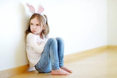 kane county child custody lawyer