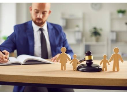 St. Charles, IL Business Divorce Lawyer